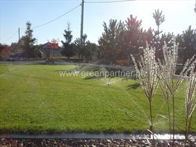 automatyczne nawodnienie, Green Partner Pracownia Architektury Krajobrazu Agnieszka Mroczek, Dłużka