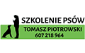 Tomasz Piotrowski Szkolenie Psów