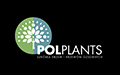 Pol-Plants Szkółka drzew i krzewów ozdobnych Kamil Dudek