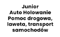 Junior Auto Holowanie Pomoc drogowa, laweta, transport samochodów