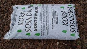 kora workowana, Kor-Drew Sędek Dariusz, Sanie