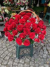 kwiaciarnia, Kwiaciarnia, Wrocław