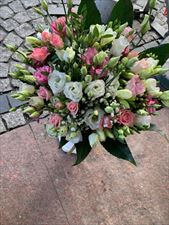 kwiaciarnia, Kwiaciarnia, Wrocław