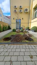 ogród, Zielone Koszone Weronika Wolańska, Wierzbna