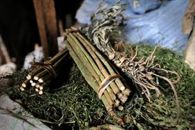 przyrodolecznictwo, Centrum Terapii Naturalnych Agape Jolanta Borkowska, Radziądz