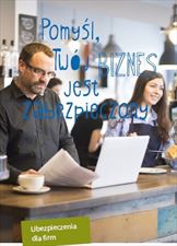 ubezpieczenia dla firm, Alesart Firma Usługowa Aleksandra Łobarzewska, Wałbrzych