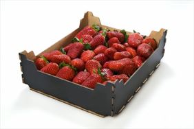kartony na owoce, Empal producent kartonów do warzyw i owoców, Cieśle