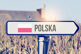 praca w Polsce, Haga Group, Wrocław