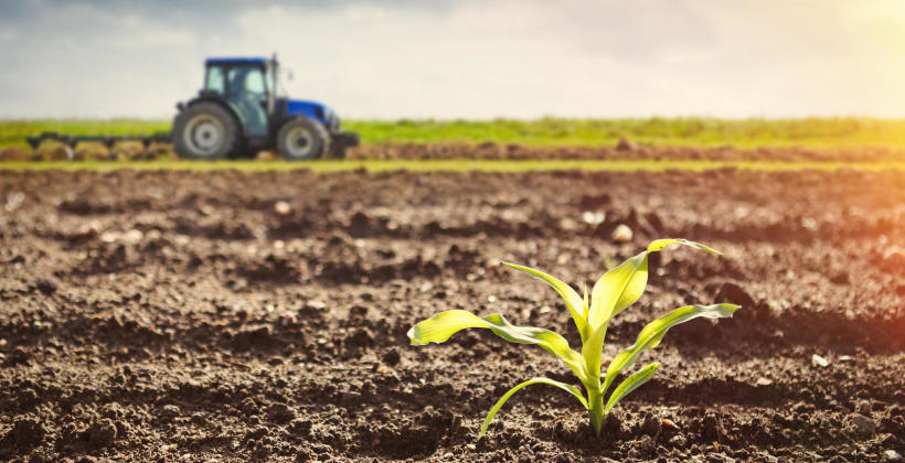 Obrotowy czy zagonowy? Jaki pług polecają specjaliści z firmy Agro Kontakt?