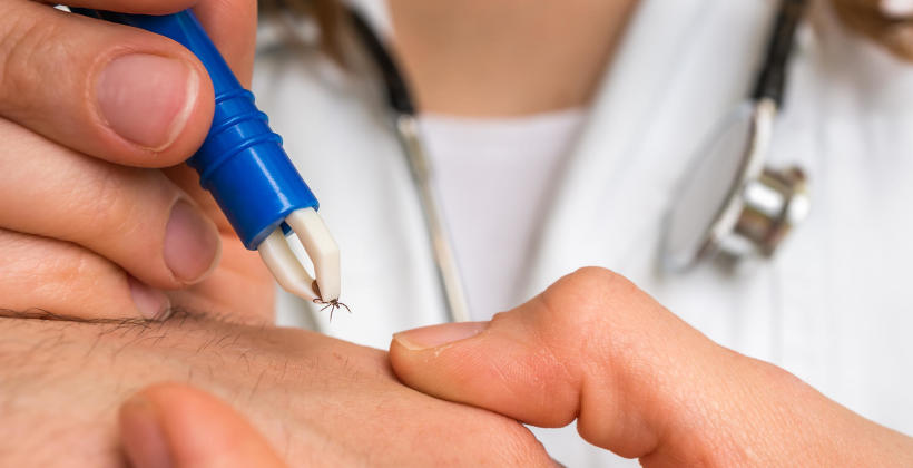 Leczenie neuroboreliozy w centrum medycznym Enel-Med Oddział Zacisze Leczenie neuroboreliozy w centrum medycznym Enel-Med Oddział Zacisze