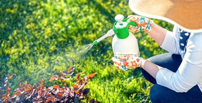 Najpopularniejsze środki ochrony roślin Najpopularniejsze środki ochrony roślin
