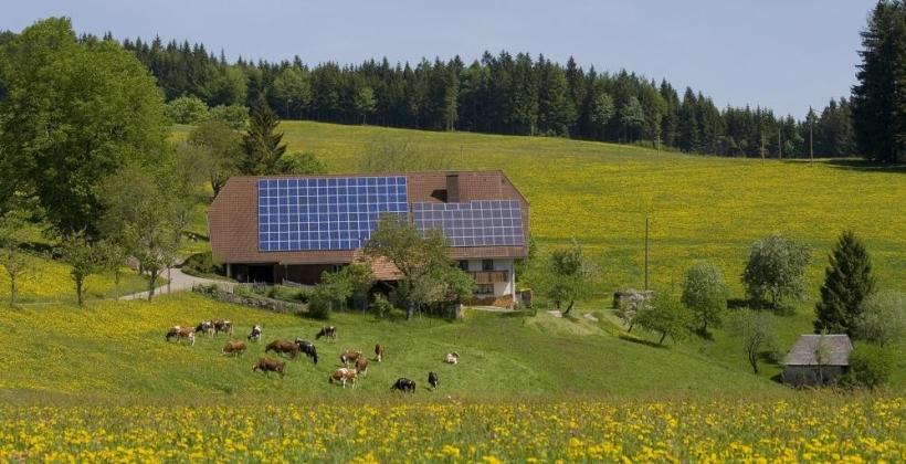 Energia ze słońca jako korzystne rozwiązanie dla rolnictwa. Dlaczego fotowoltaika w gospodarstwie rolnym się opłaca?