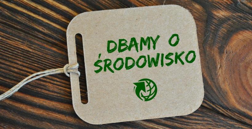 Ekologiczne zarządzanie – jak zadbać o środowisko w firmie?