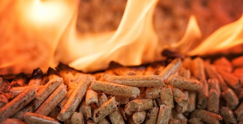 Czy pellet to ekologiczny materiał grzewczy? Czy pellet to ekologiczny materiał grzewczy?