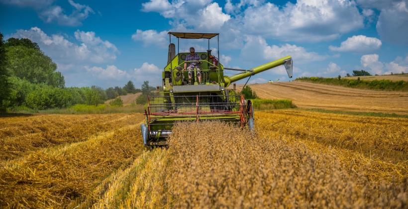 Skup i sprzedaż zbóż Skup i sprzedaż zbóż