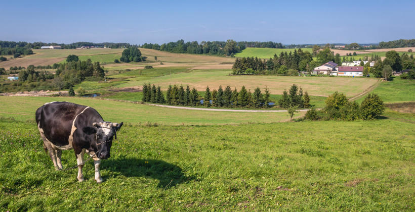 Dlaczego warto spędzić wakacje na Kaszubach?