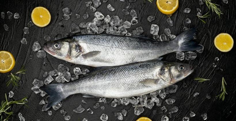 Rybakówka Toruń: Własne zbiorniki wodne - tajemnica świeżości ryb w najlepszych restauracjach