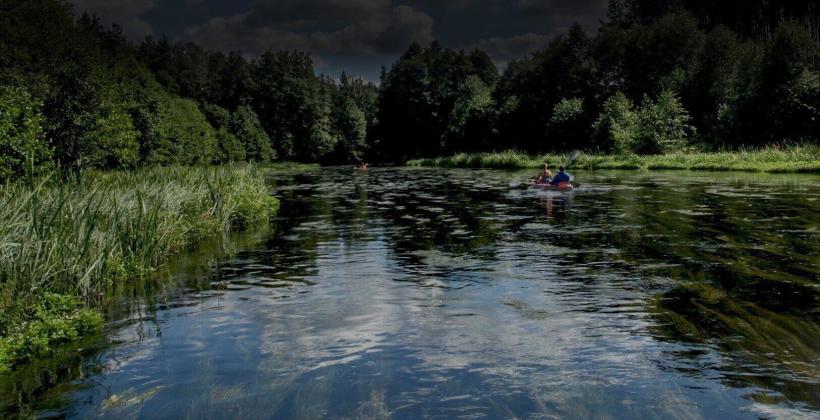 Dlaczego Bory Tucholskie to wspaniały pomysł na kierunek wakacyjnych wyjazdów? Dlaczego Bory Tucholskie to wspaniały pomysł na kierunek wakacyjnych wyjazdów?