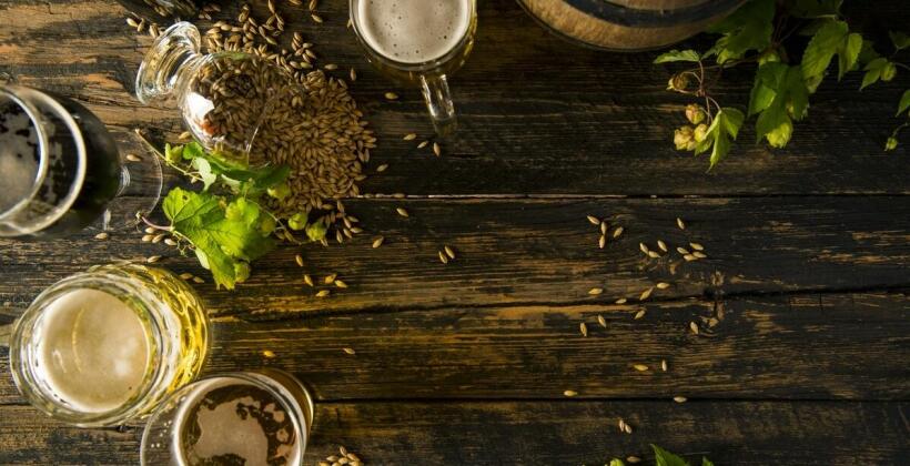 Absurdalna - Starkraft Brewpub w Katowicach