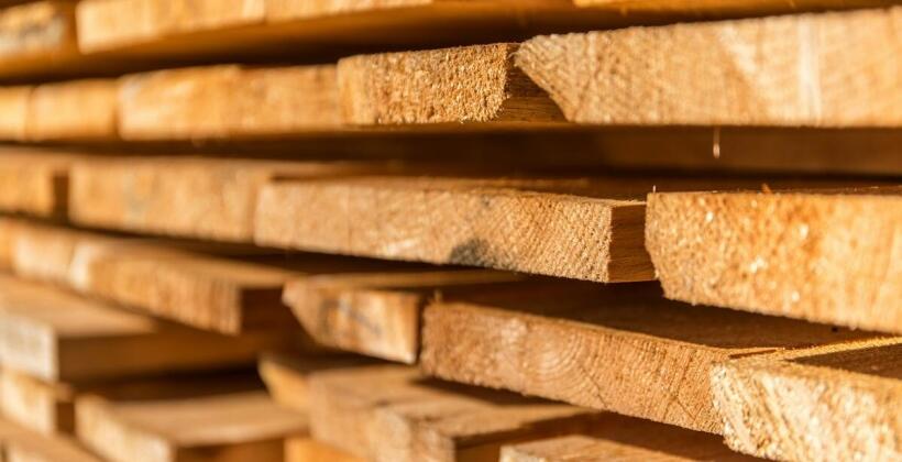 Współpraca z lokalnymi dostawcami drewna – Progres Drewno