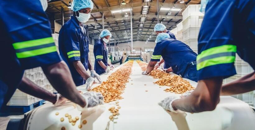 Nowoczesne datowniki w procesie pakowania – Iaro Gniezno