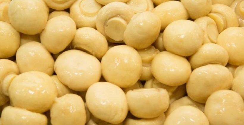 Produkcja i zastosowanie przetworów z pieczarek Produkcja i zastosowanie przetworów z pieczarek