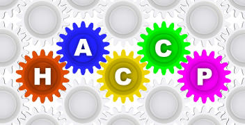 Czym jest system HACCP?