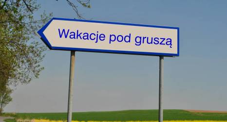 Wczasy pod gruszą – kto może skorzystać?