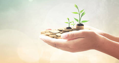 Ile kosztuje założenie fundacji?