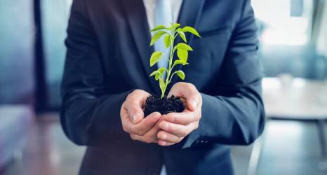 Jak wprowadzić ekologiczne rozwiązania w biurze?