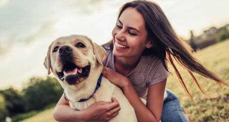 Czy hotel dla zwierząt się opłaca?