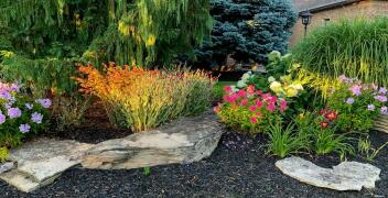 Tuje Szmaragd: Trawy ozdobne - nie tylko na trawnik, ale także w aranżacji ogrodu