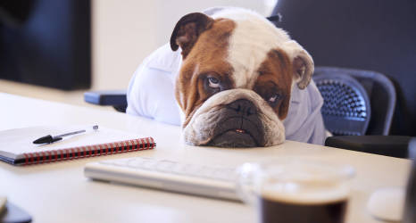 7 rad na Blue Monday. Jak przeżyć ponury dzień w pracy?