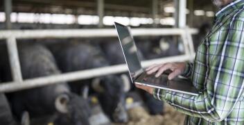 Systemy zarządzania stadem. Przegląd rozwiązań