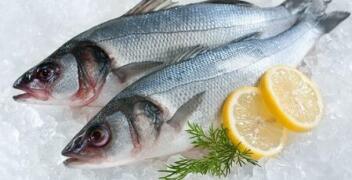 Wybór ryby świeżej a mrożonej – Sklep24amk
