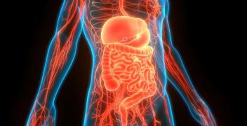 Endoskopia w diagnostyce i leczeniu chorób przewodu pokarmowego