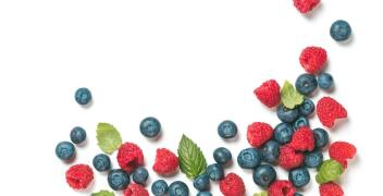 Mrożone i liofilizowane owoce – Aronia Eggert