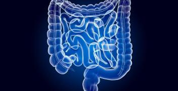 Hydrokolonoterapia - oczyszczanie jelit w Centrum Zdrowia Sana