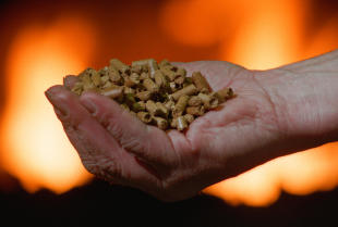 Ekologiczny pellet Olimp w ofercie składów opału PIÓRKI