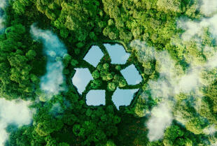 Dlaczego recykling i odzysk opakowań drewnianych warto powierzyć firmie Grabowski Import Export?