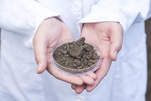 Badania laboratoryjne gruntów z Nowym Przedsiębiorstwem Geologicznym – kiedy się je robi i jakich informacji dostarczają?