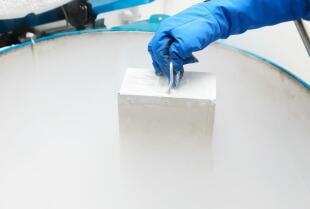 Zastosowanie azotu technicznego w różnych gałęziach przemysłu - Jula Gas