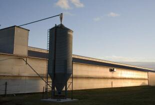 Ważenie zbiorników i silosów: klucz do precyzyjnego zarządzania magazynem z Elwag