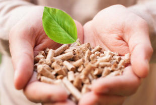 Pellet – ekologiczne źródło energii