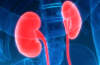 Czym zajmują się lekarze nefrolodzy?