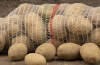  Specjalista z firmy Moniki Działek wyjaśnia: czym jest worek raszlowy i jakie ma zastosowania?